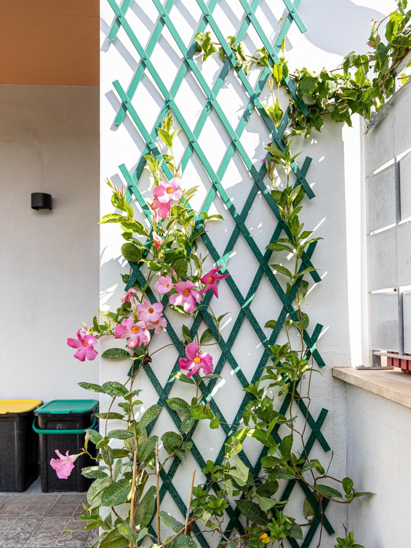 Mrb Real Estate - Maison Ludovica - Monolocale Moderno Con Giardino Frattocchie Exterior foto
